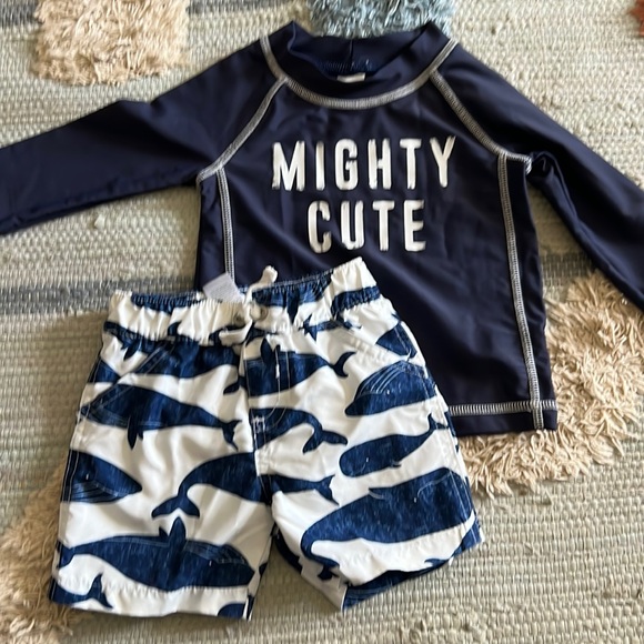 Carter's Other - Carters 9mo Bathing Suit Set